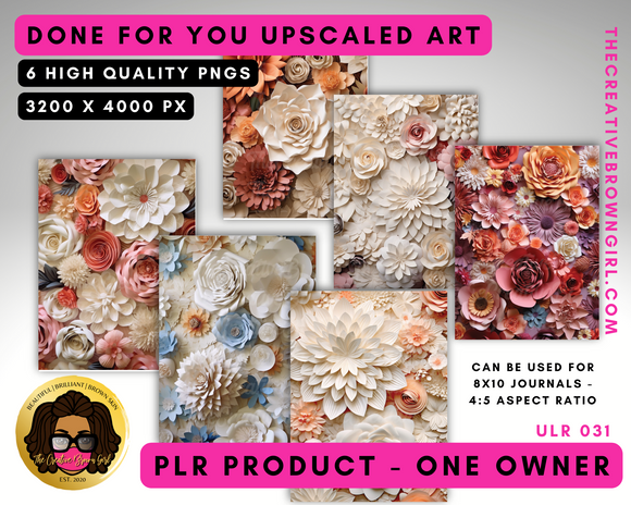 PLR (Private Label Rights) Done For You UPSCALED ART | ULR-031