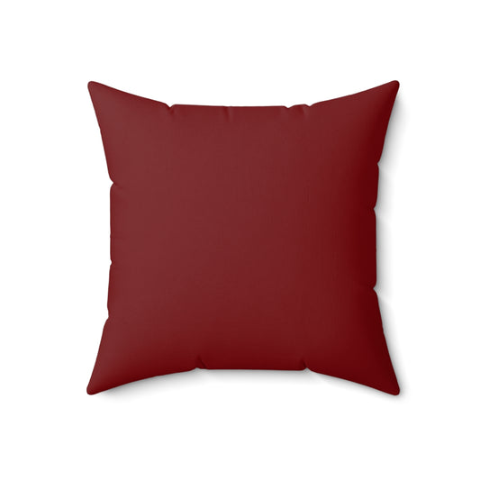 Santa Bro Pillow 01: LARGE DECORATIVE 18x18 or 20x20