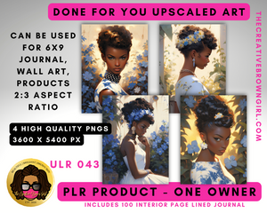 PLR (Private Label Rights) Done For You UPSCALED ART | ULR-043