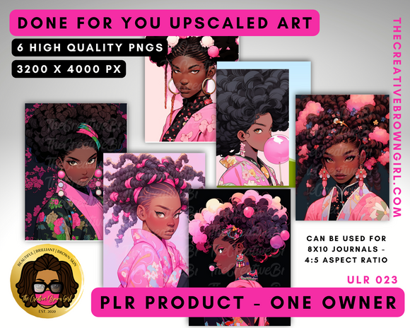 PLR (Private Label Rights) Done For You UPSCALED ART | ULR-023