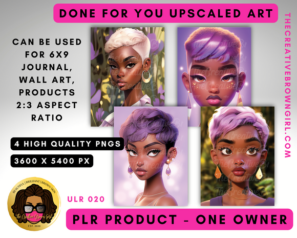 PLR (Private Label Rights) Done For You UPSCALED ART | ULR-020