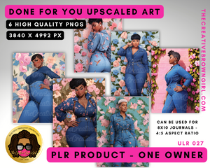 PLR (Private Label Rights) Done For You UPSCALED ART | ULR-027