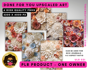PLR (Private Label Rights) Done For You UPSCALED ART | ULR-031